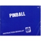 PINBALL MANUAL.jpg